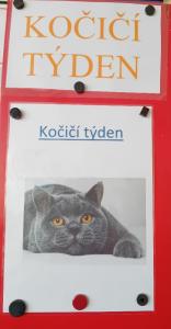 Kočičí týden